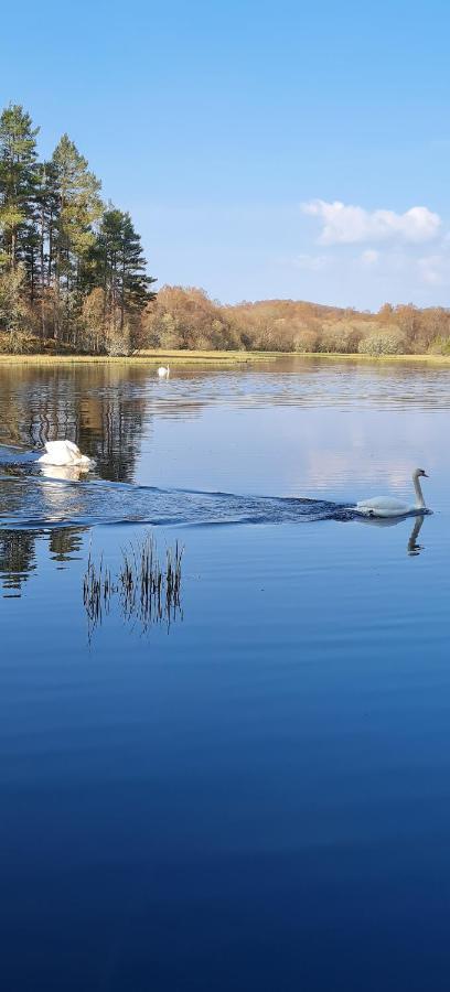 Holiday home Deeside